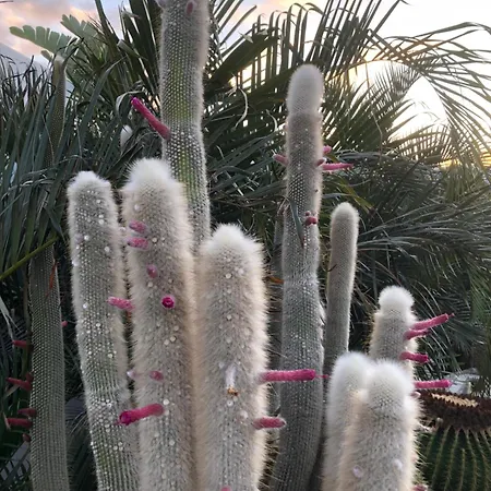 Happy Casa Apartment *